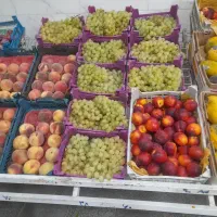 فروش تمام وسایل میوه فروشی همراه با یخچال|فروشگاه و مغازه|مهریز, |دیوار