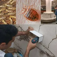 شرکت سمپاشی/موریانه زدایی/سم پاشی ساس سوسک موش|خدمات نظافت|اهواز, کوی مهدیس|دیوار