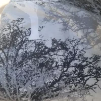 پارچه مستقیم ازبانه