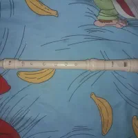 فلوت یاماها|سازهای بادی|رشت, شهرک قدس|دیوار