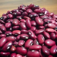 لوبیا قرمز درجه یک