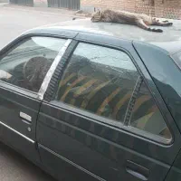پژواردی|خودرو سواری و وانت|کرج, ساماندهی|دیوار