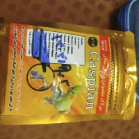 سرلاک طوطی سانا