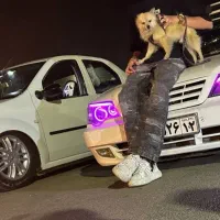 سگ پامرین|سگ|مشهد, فدک|دیوار