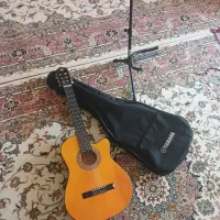 گیتار دیاموند|گیتار، بیس، امپلیفایر|بروجرد, |دیوار