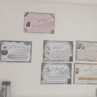چـاپ کـرمی سـرداری