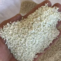 برنج نیمدانه گوهر آقای برنج