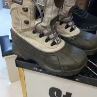 پوتین سالامون سالم