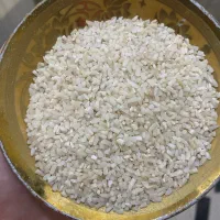 نیم دانه هاشمی