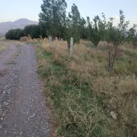 باغ سیب مرگور روستای گارانه و سه گرکان 6500 متر|فروش دفتر صنعتی، کشاورزی، تجاری|ارومیه, |دیوار