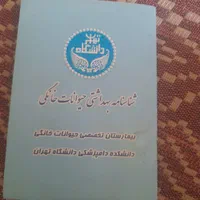 به دلیل موقعیت مکانی|سگ|بومهن, |دیوار