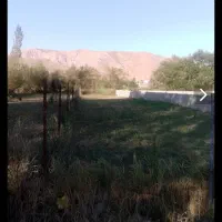 زمین ۴۴۴ متری  در خلخال  روستای  مجره