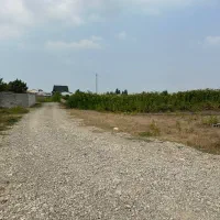 لوکیشن-جنگلی-فروش-تفکیک-شده-قابل-ساخت-سند