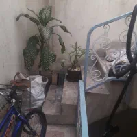 گل برای فروش