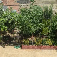 سرایداری در بومهن چمران