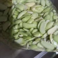 پاچ باقلی پاک شده سبز سبز