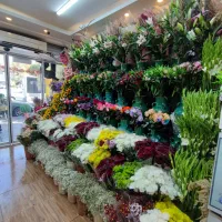 به یک کارگر ساده جهت کار در گلفروشی نیاز مندم