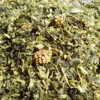 ذرت علوفه‌ای فریمان