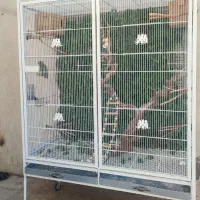 قفس سایز بزرگ