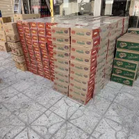 راهنمایی کسب در آمد برای بانوان