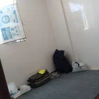 همخونه یا همخانه خانم