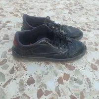 کفش|کیف، کفش، کمربند|ملارد, |دیوار