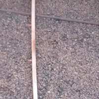 آبخوری مرغ
