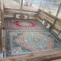 ب یک سورایدار نیاز مندیم