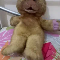 خرس خارجی|اسباببازی|تبریز, |دیوار