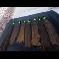 صادرات(مو)(خریدمو)