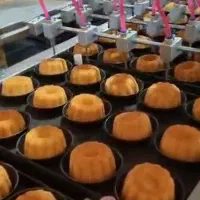 سرمایه گذاری، راه اندازی ،مشاوره صنایع غذایی
