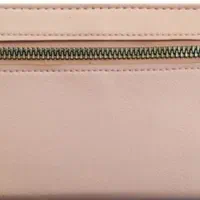 کیف پول گمشده