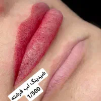 میکرو۸۰۰کرمپودررژلب خطچشم دوسال تضمینی|خدمات آرایشگری و زیبایی|اصفهان, خواجه عمید|دیوار