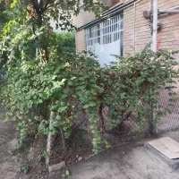 فروش آپارتمان ویلایی سه خوابه شهرک خانه پرندک|فروش آپارتمان|رباط‌کریم, پرندک|دیوار
