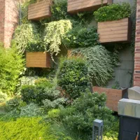 خدمات باغبانی و فضای سبز تضمینی