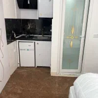 زیارت ضامن آهو ،ریلی