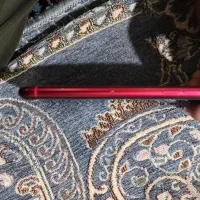 ایفون 11 نرمال|موبایل|کلاله, |دیوار