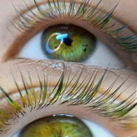 مدل لیفت مژه|خدمات آرایشگری و زیبایی|رشت, دیلمان|دیوار