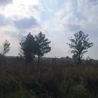 زمین 500متر مسکونی دار|فروش زمین و ملک کلنگی|رشت, سلیمانداراب|دیوار