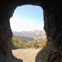 زوی اسینم کشاورزی