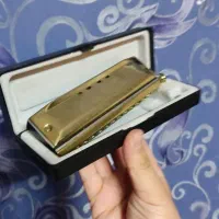 ساز دهنی ( هارمونیکا ) استثنایی