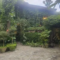 ویلاباغ ساحلی سنددار با درختان استوایی دوقدمی دریا