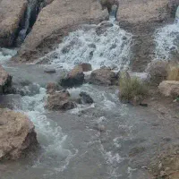 خانه-باغ