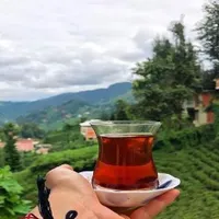 چای سرگل لاهیجان مستقیم از کشاورز|خوردنی و آشامیدنی|لاهیجان, شهید آوینی|دیوار