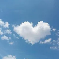 راهنمایی  شرکت