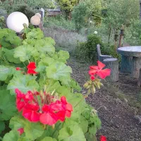 ویلا باغ جنگلی با چشم انداز  بی نظیردشت وجنگل