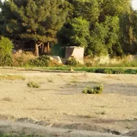 فروش ۴۸۵ متری در شهرک ابوذر|فروش دفتر صنعتی، کشاورزی، تجاری|تهران, شهرک ابوذر|دیوار
