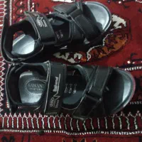 صندل در حد نوع