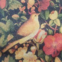 همراه پیاده روی