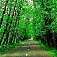 راهنمایی سفر شمال